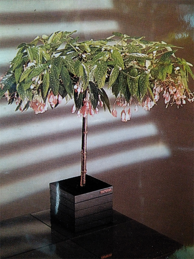 Bienvenidos al sitio web